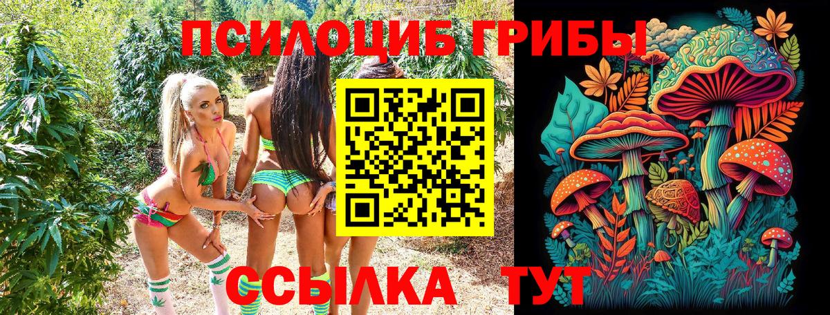 закладка  Вход с VPN  Бутурлиновка  Псилоцибиновые грибы мицелий  Галлюциногенные грибы мицелий 